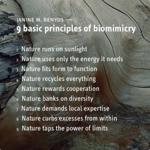 9 principles
